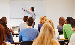 Compétences professionnelles