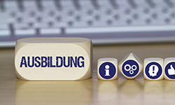 Ausbildung: Praxisnahe Wege in den Beruf	 